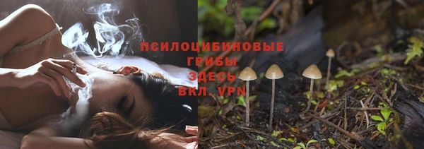 стафф Абдулино