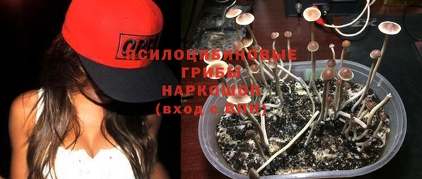 крисы Абинск