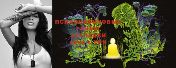 крисы Абинск
