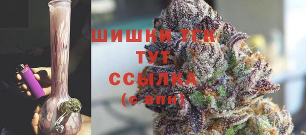 ALPHA PVP Ельня