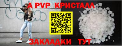 гашик Гатчина
