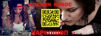 гашик Гатчина