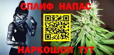 прущие крисы Гай