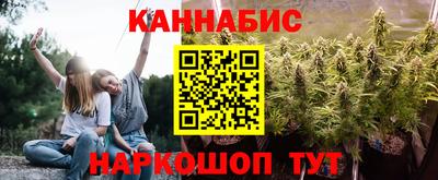 гашик Гатчина