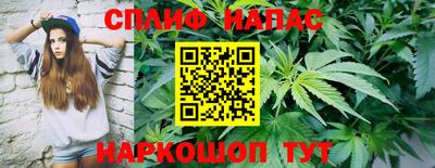 прущие крисы Гай