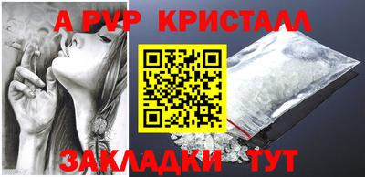 гашик Гатчина