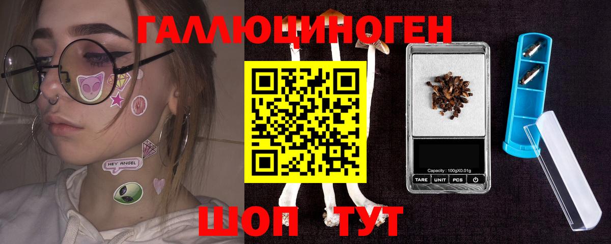 Псилоцибиновые грибы Psilocybe Нефтеюганск